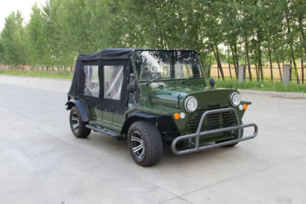 What is an electric sightseeing car?